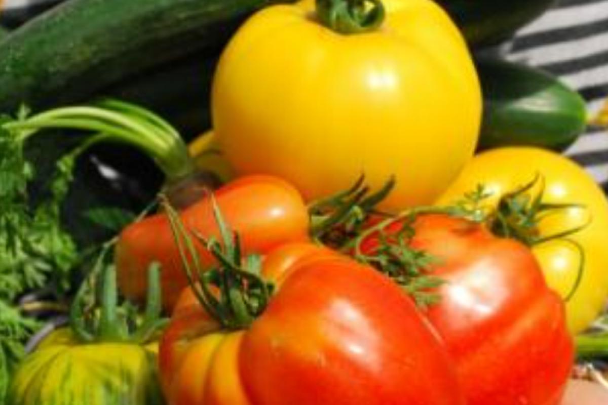 Tuinieren bij een volkstuinvereniging